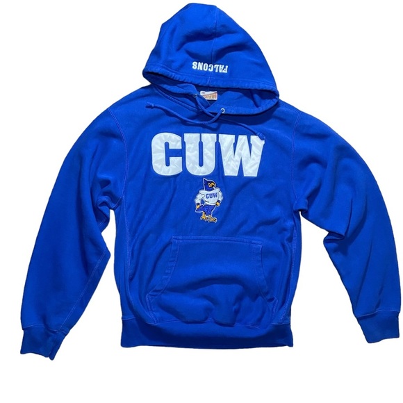 Vintage Wisconsin Falcons Hoodie Embroidered Concordia University Logo CUW Small - Picture 1 of 4